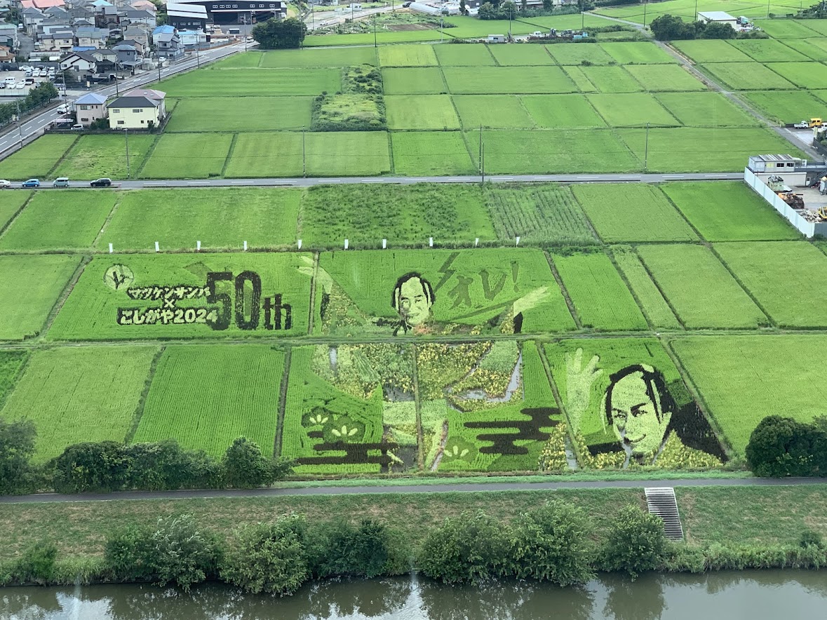 こしがや田んぼアート2024 | 社会福祉法人貴親会